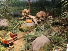 -陕西自然博物馆