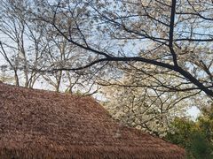 -中国茶叶博物馆(双峰馆区)