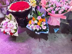 -花鸟鱼虫鲜花绿植市场(玉泉路店)