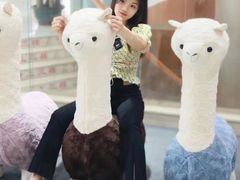 -ONLEAD 欧林办公家具(丰合广场店)