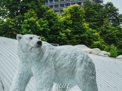 -海合安成都极地海洋公园