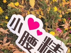 -南翠屏公园