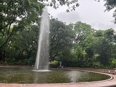 -九龙公园