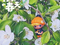 -朝阳公园
