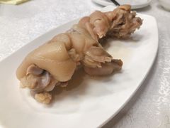卤猪手-丁老爷子苏香圆