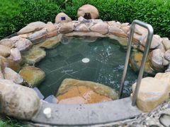 -凤翔首邑温泉度假村