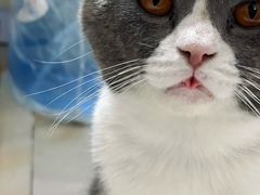 -瑞派康怡24h宠物医院·犬猫医疗中心·微创绝育(瑞景分院)