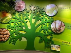 -石家庄市植物园