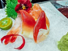 -森味薪火烧•烧鸟居酒屋•日本料理(望京店)