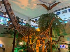 -甘肃地质博物馆