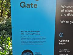 -墨尔本皇家植物园