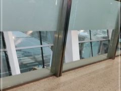 -蒸小皖(合肥新桥国际机场店)