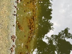 -东坡赤壁风景名胜区