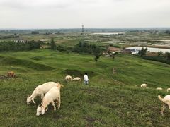 -恋山坝上草原