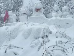 -瓦屋山景区
