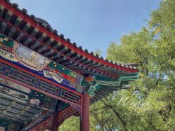 -北京市东城区妇幼保健院(北院区)