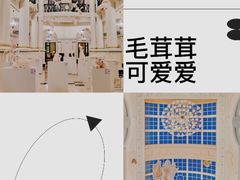 -上海外滩华尔道夫酒店