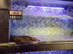 水产区-一亩鲜生(凤屿店)