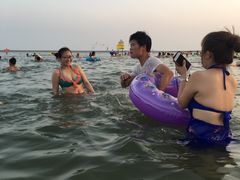 -碧海金沙