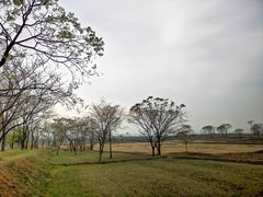 -盘龙城国家考古遗址公园