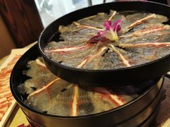 招牌有机黑鱼-七秒鱼·斑鱼火锅(太阳城店)
