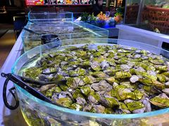 -聚盛源蒸汽海鲜火锅烤肉自助(巨川金海岸购物广场店)