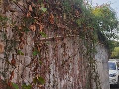 -蔡元培故居