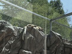 -青藏高原野生动物园