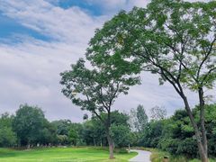 -盘龙城国家考古遗址公园