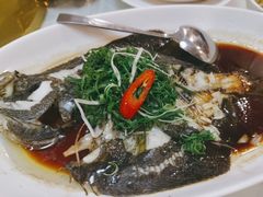 -宜宾海鲜酒家·三十年老字号