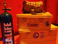 -沈阳海洋探索中心