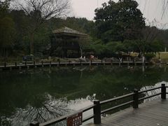 -白马涧龙池景区