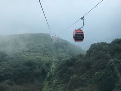 -牛背梁国家森林公园