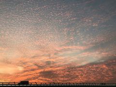 -演武大桥观景平台