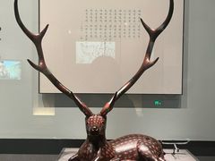 -湖北省博物馆