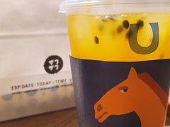 -春丽小马(济南恒隆广场店)