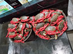 -紫阳海鲜楼·传承闽味(长乐路总店)