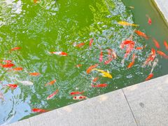 -狼山风景名胜区