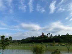 -东莞植物园