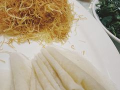 -丁老爷子苏香圆