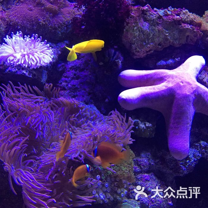 海濱城浩海立方海洋館-圖片-雙流區周邊遊-大眾點評網