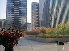 -凤凰湘语·湘粤鲜融(浦东旗舰店)