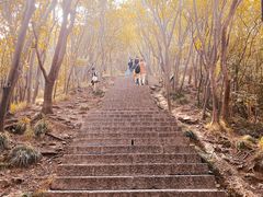 -紫金山山顶公园