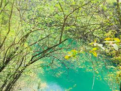 -郧西五龙河风景区