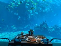 -海棠湾洲际-涛·海底餐厅·美人鱼·自助餐·海底隧道