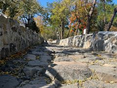 -阳台山自然风景区