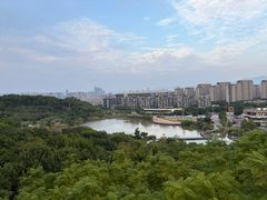-飞凤山奥体公园