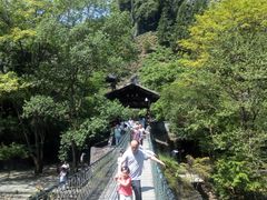 -祁门牯牛降观音堂风景区