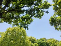 -上海吴淞炮台湾国家湿地公园