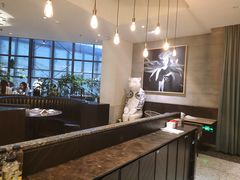 大堂-大树餐厅(红旗街万达店)